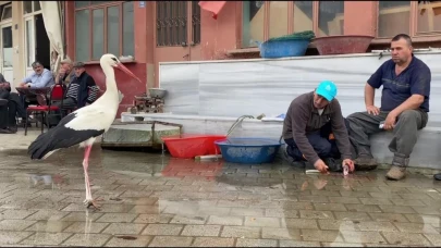 Yaren'in rakibi Bilal Leylek baba oldu