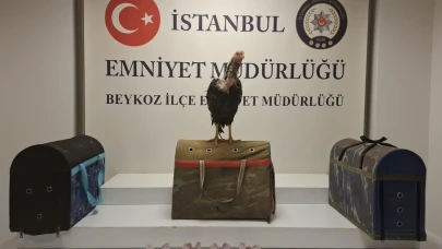 Beykoz’da horoz dövüşüne polis baskını!