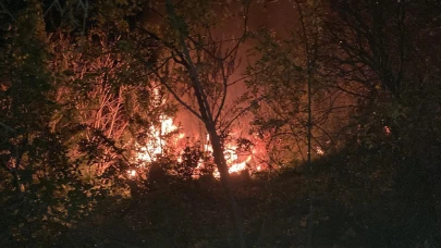 Kemah’ta ev yangını