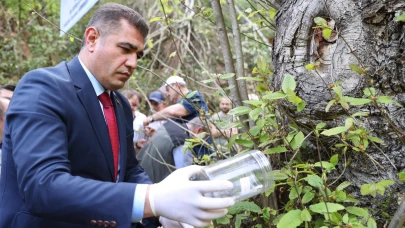 Düzce 80 bin adet böcek salınacak
