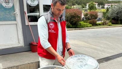 Otobüsün bagajında çöp kovasında taşınan 100 kilo midyeye el konuldu