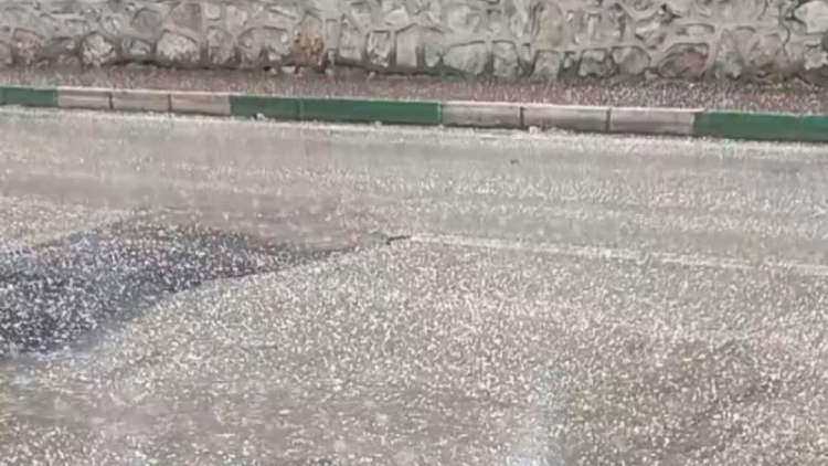 Bursa'da dolu şoku!