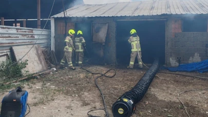 Balıkesir’de ahırda çıkan yangında 42 küçükbaş hayvan telef oldu