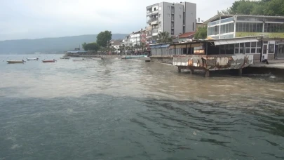 Gemlik Körfezi müsilajla kaplandı