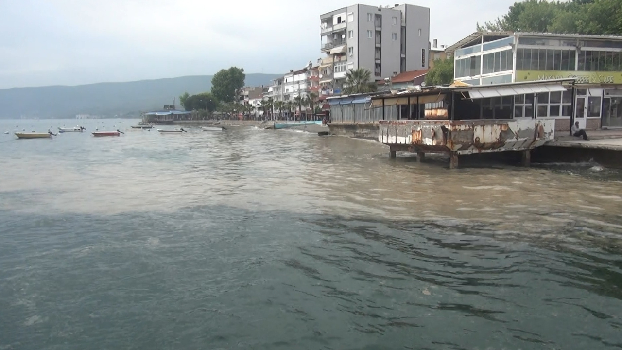 Gemlik Körfezi müsilajla kaplandı