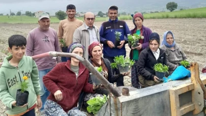 Selendi CHP tarlada çalışan anneleri yalnız bırakmadı