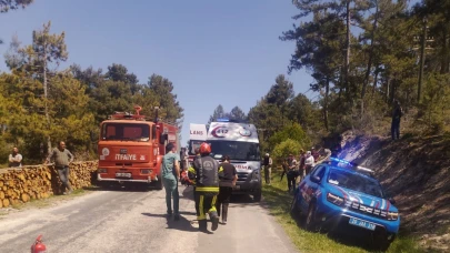 Odun sterine çarpan otomobil takla attı