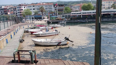 Karamürsel sahili müsilajla kaplandı