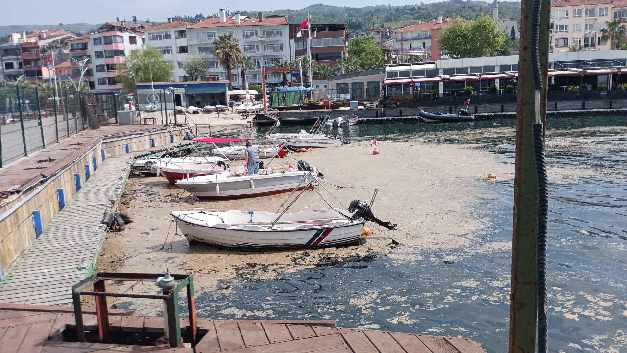 Karamürsel sahili müsilajla kaplandı