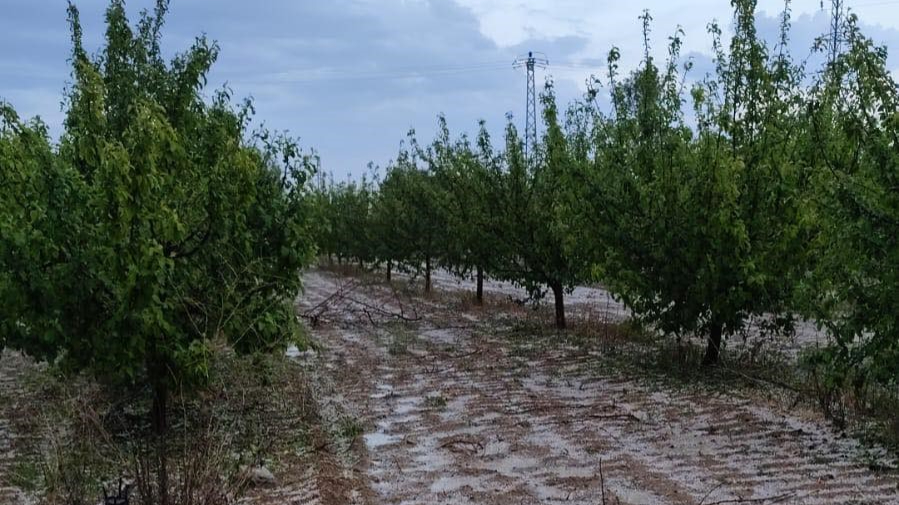Kurak ilçeye düşen yağmur çiftçiye umut oldu