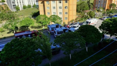 Muğla'da iki otomobil çarpıştı! 6 yaralı