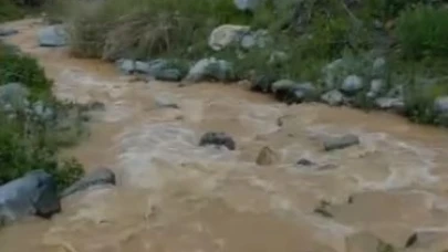 Elazığ'da yağışlar dereleri coşturdu