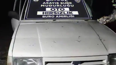 Bingöl’de oto hırsızları yakalandı