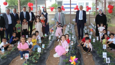 Kahta'da miniklerden çilek hasadı