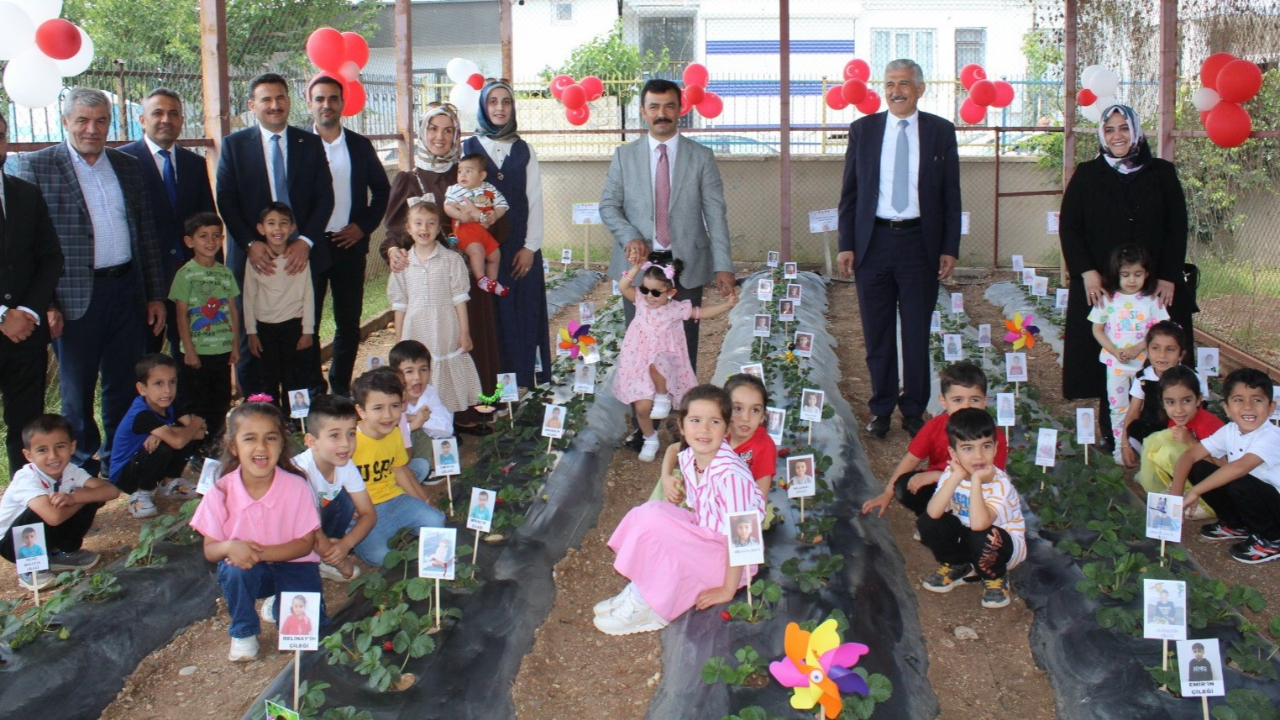 Kahta'da miniklerden çilek hasadı