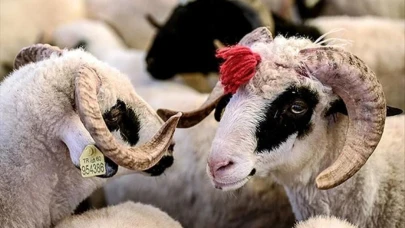 Bayram tatili ne zaman başlıyor?