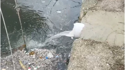 Marmara Denizi'nde kirliliğe neden olan Çınarcık Belediyesi'ne ceza yağdı