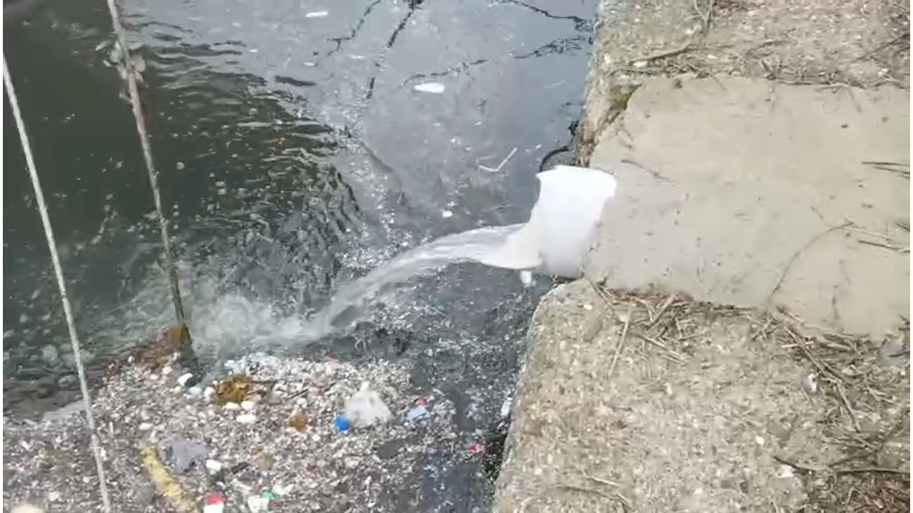 Marmara Denizi'nde kirliliğe neden olan Çınarcık Belediyesi'ne ceza yağdı