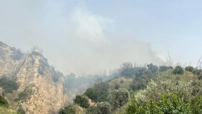 Aydın’da zirai alan yangını