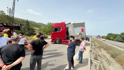Bir arı yüzlerce kişiyi mağdur etti