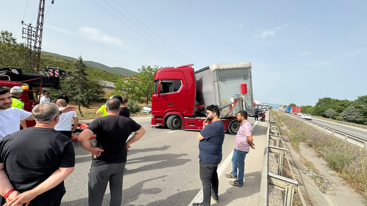 Bir arı yüzlerce kişiyi mağdur etti
