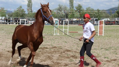 Çorum'da atlar güzellikleriyle yarıştı