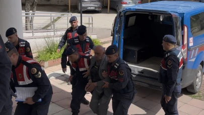 Tarladan dönen çifti öldüren cinayet zanlısı tutuklandı
