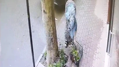 Bursa'da çiçekçinin önündeki bir kasa çiçeği böyle götürdü