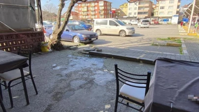 Kocaeli'deki kuzen cinayetine müebbet hapis talebi