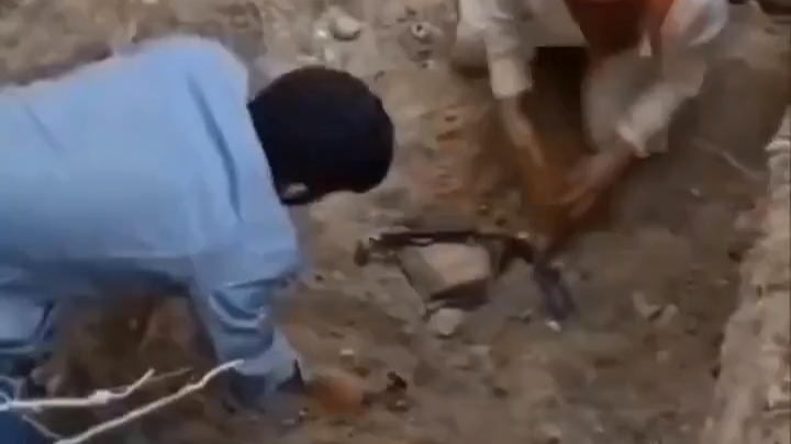 Bursa'da ölen köpekleri mezardan çıkarmaya çalıştılar