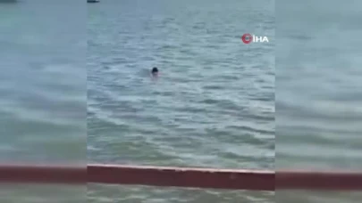 'Kurtuldum' diye bağırıp kendini göle attı