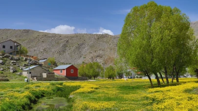 Orta Toroslardaki yaylalar görsel şölen sunuyor