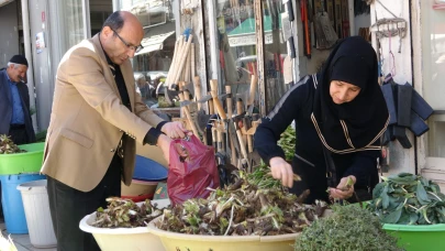 Dağlardan toplanan otlar hem şifa hem kazanç sağlıyor