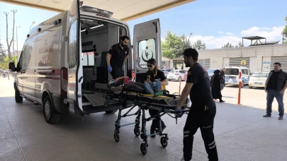 Üzüm yaprağı toplarken canından oluyordu