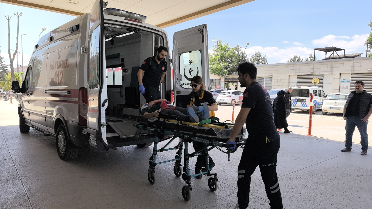 Üzüm yaprağı toplarken canından oluyordu