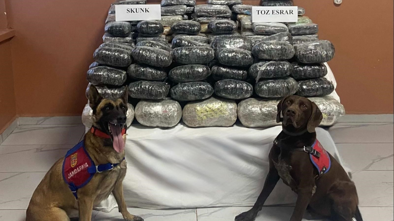 Van’da 90 kilo uyuşturucu ele geçirildi
