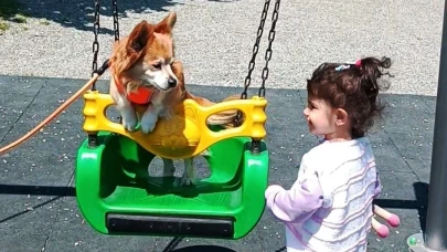 Samsun'da bir köpek park keyfi yaptı