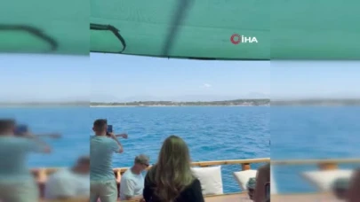 Side açıklarında Akdeniz foku görüntülendi, turistler hayretler içinde izledi