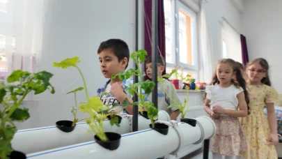Manisalı minik çiftçiler topraksız tarımla üretim yapıyor