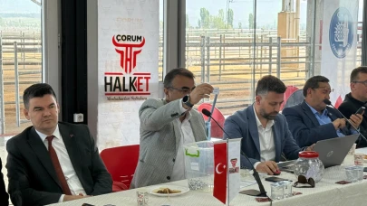 Kurban pazarı için geri sayım başladı! Padoklar kura ile belirlendi