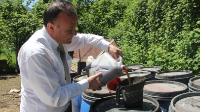 Kahverengi kokarcaya sıvı balık gübreli önlem