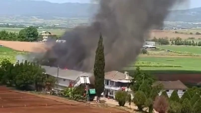 Bursa Yenişehir’de hayvan çiftliğinde büyük yangın