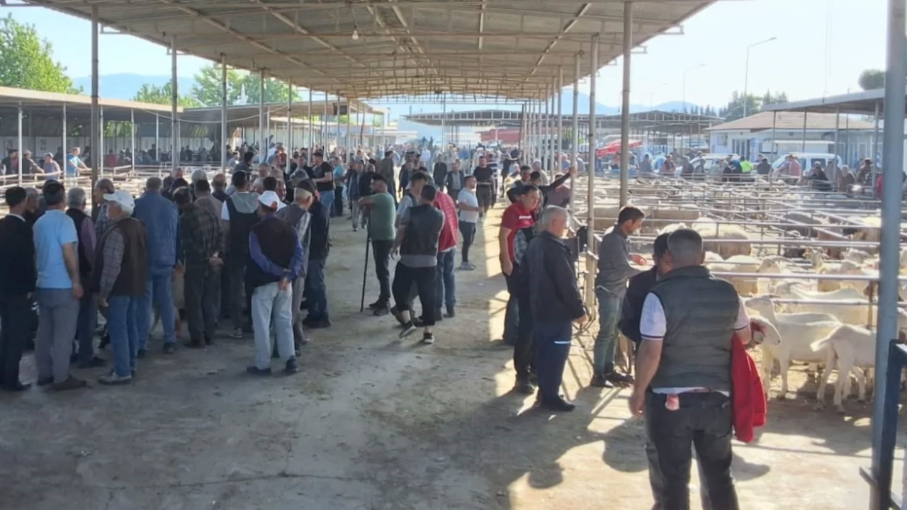 Havran’da Kurban Bayramı öncesi hayvan pazarı denetlendi