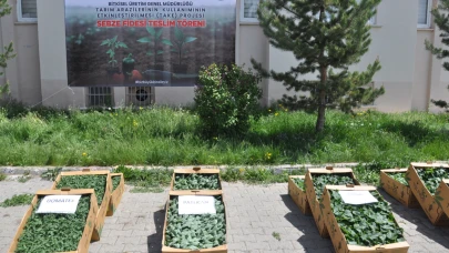 Kars'ta binlerce sebze fidesi dağıtıldı