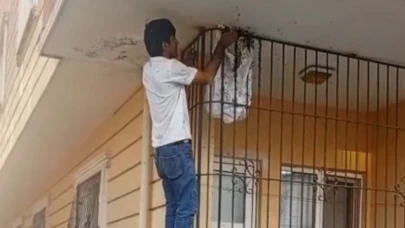 Çıplak elle yüzlerce arının arasına girdi