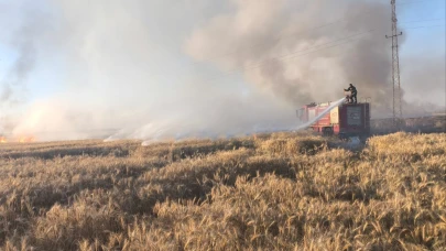 Mardin'de 155 dönüm ekili buğday yandı