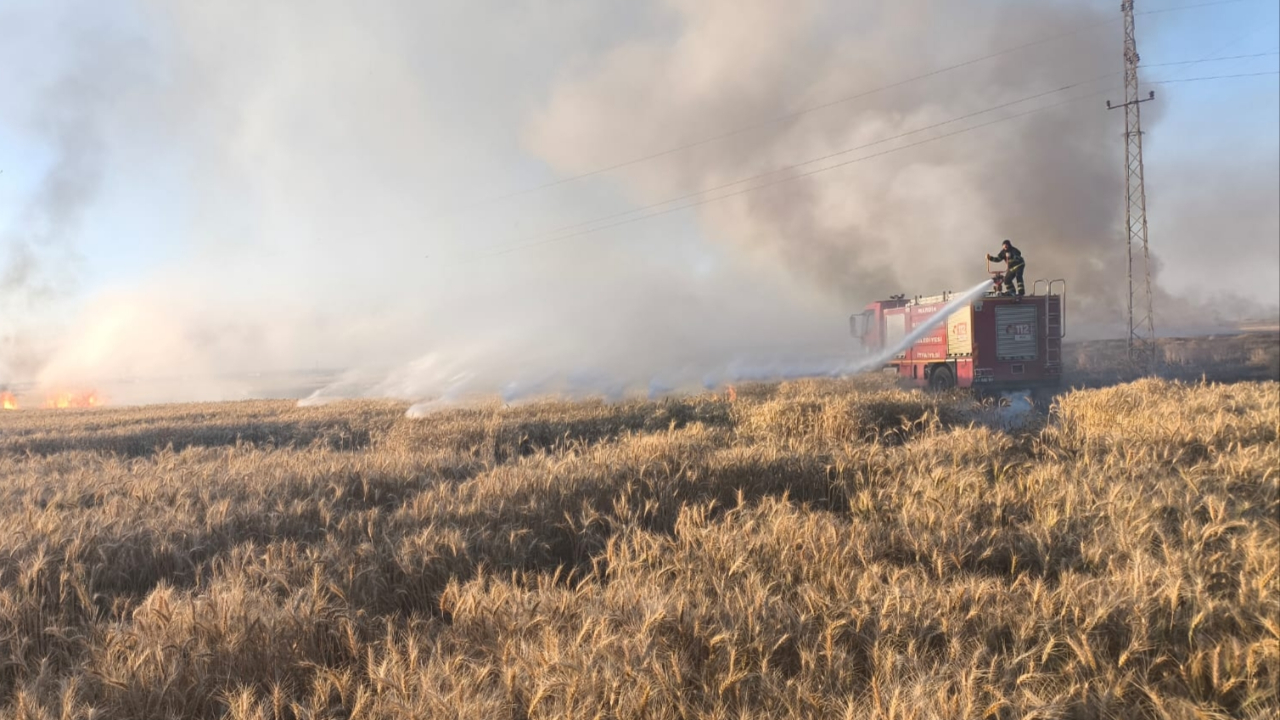 Mardin'de 155 dönüm ekili buğday yandı