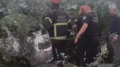 Bursa'da kökünden sökülen ağaç otomobilin üzerine devrildi