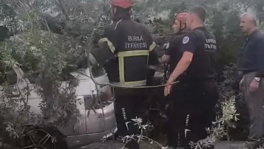 Bursa'da kökünden sökülen ağaç otomobilin üzerine devrildi