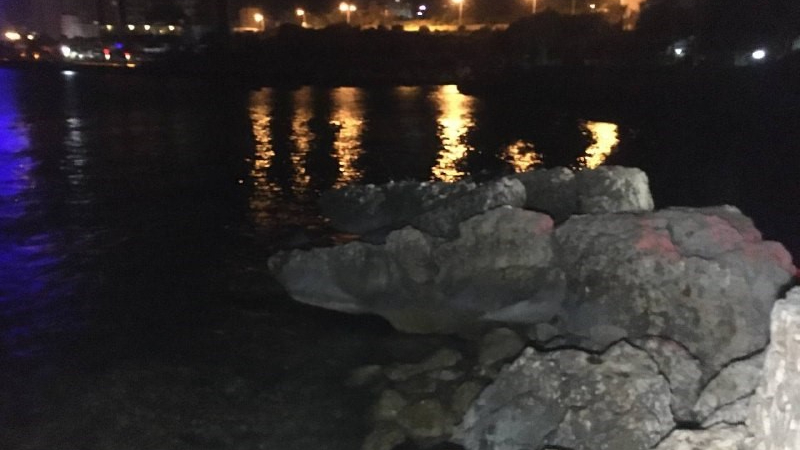 Mersin'de balık tutarken kayalıklardan düşen şahıs hayatını kaybetti